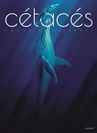 Image de Cétacés