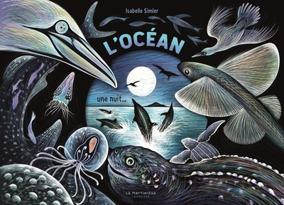 Image de L'Océan, une nuit...