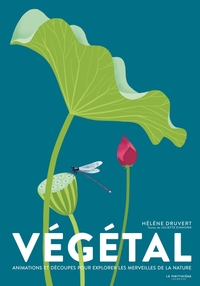 Image de Végétal