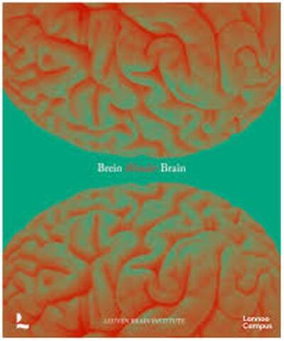 Image de Wonder Brain /anglais/nEerlandais
