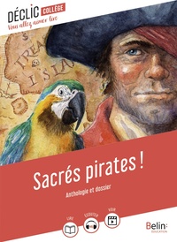 Image de Sacrés pirates !