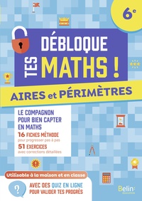 Image de Aires et périmètres (6e)