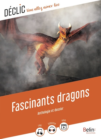 Image de Fascinants dragons