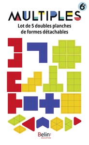 Picture of Lot de 5 double planches Maths 6e Multiples