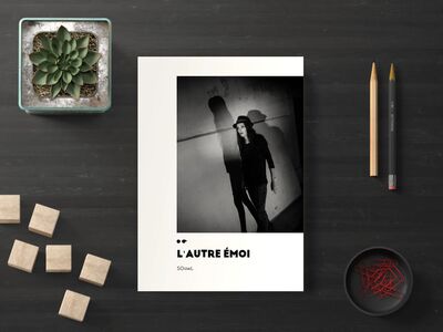 Image de L'autre émoi