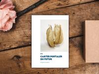 Picture of Cartes postales du futur