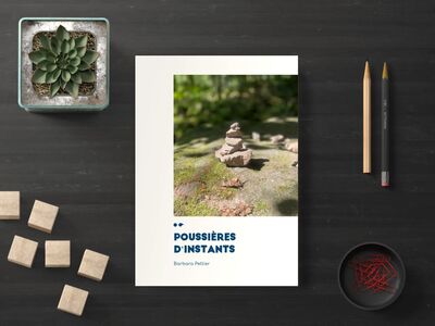 Picture of Poussières d'instants