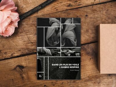 Picture of Dans les plis du voile, l'ombre respire