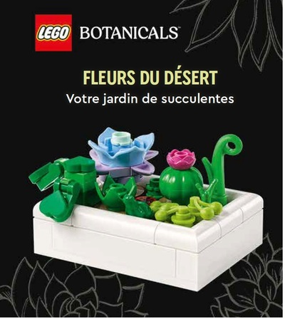 Picture of Lego Botanicals, Fleurs du désert