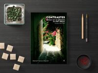 Picture of CONTRASTES