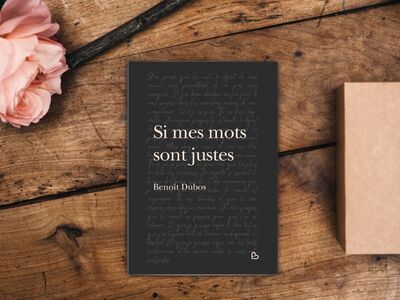 Picture of Si mes mots sont justes