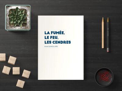 Image de La fumée, le feu, les cendres