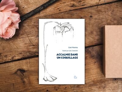 Picture of Accalmie dans un coquillage