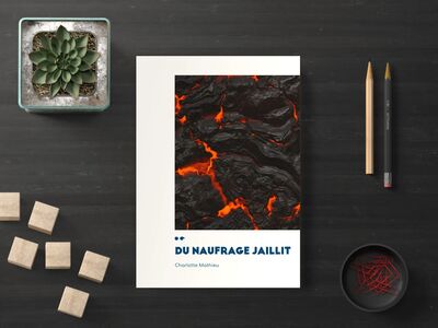 Picture of du naufrage jaillit