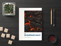 Picture of du naufrage jaillit