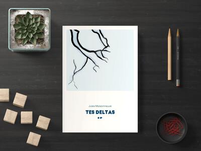 Picture of Tes deltas