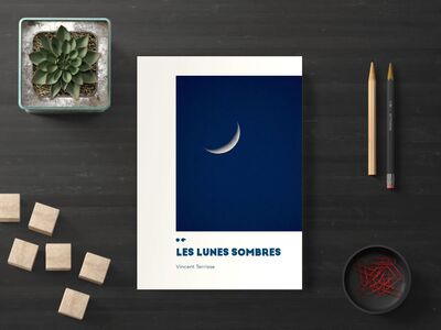 Picture of Les lunes sombres