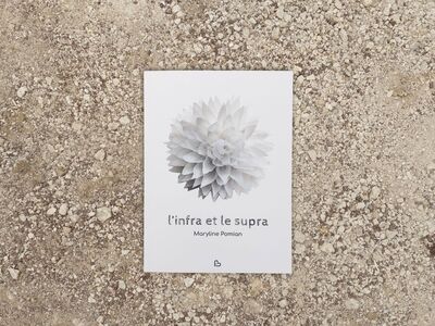 Image de L'infra et le supra