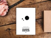 Image de Chansons ensevelies
