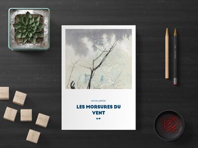 Image de les morsures du vent