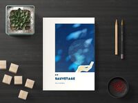 Picture of Sauvetage