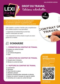 Picture of Droit du travail, relations individuelles