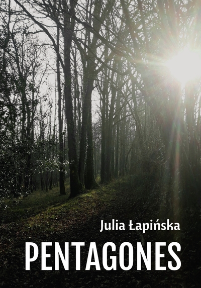 Picture of Pentagones