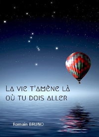 Picture of La vie t'amène là où tu dois aller