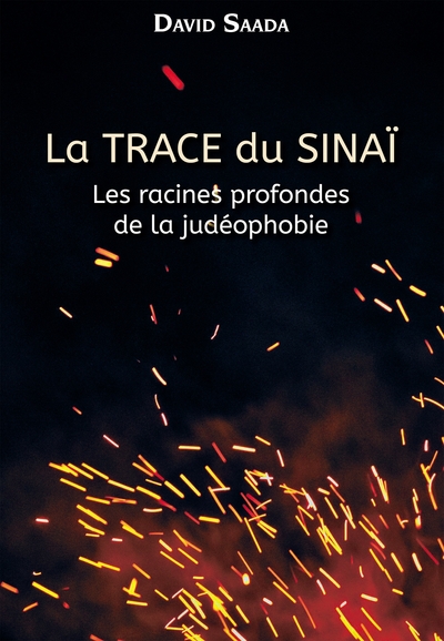 Image de La trace du Sinaï
