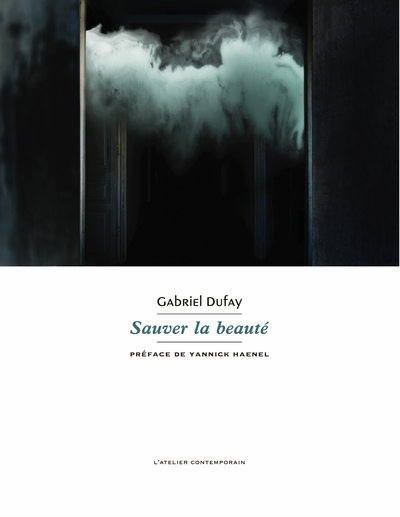Picture of Sauver la beauté