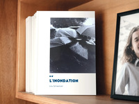 Picture of L'inondation