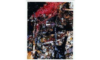 Image de Rebekka Deubner TempEte aprEs tempEte /anglais