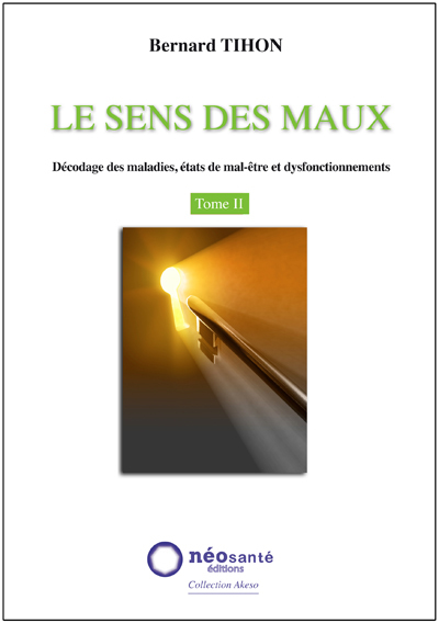 Image de Le sens des maux Tome 2