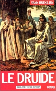 Picture of Le druide