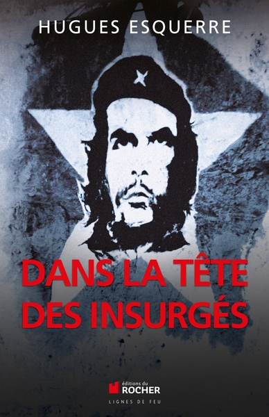 Image de Dans la tête des insurgés