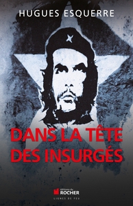Image de Dans la tête des insurgés