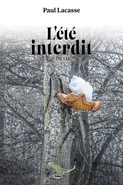 Picture of L'été interdit