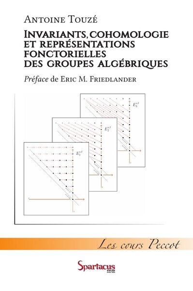 Image de Invariants, cohomologie et représentations fonctorielles des groupes algébriques