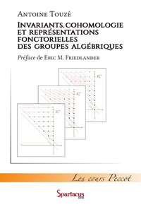 Image de Invariants, cohomologie et représentations fonctorielles des groupes algébriques