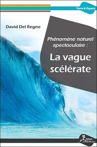 Picture of Phénomène naturel spectaculaire : La vague scélérate