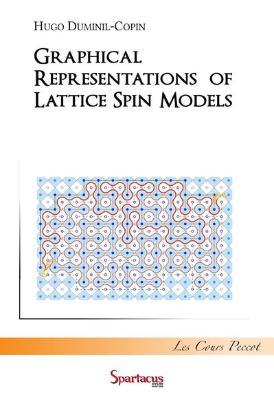 Image de Graphical representations of lattice spin models