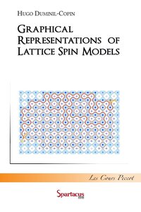Image de Graphical representations of lattice spin models