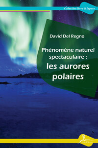 Picture of Phénomène naturel spectaculaire : les aurores polaires
