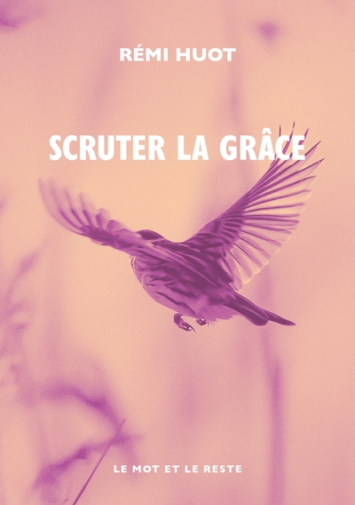 Picture of Scruter la grâce