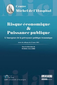 Image de RISQUE ÉCONOMIQUE ET PUISSANCE PUBLIQUE