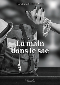Image de La main dans le sac