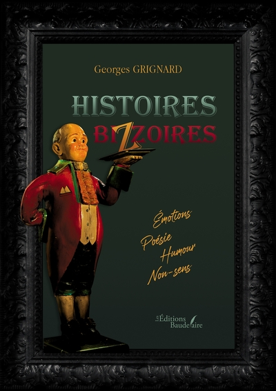 Image de Histoires bizzoires