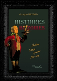Image de Histoires bizzoires