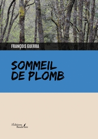 Picture of Sommeil de plomb