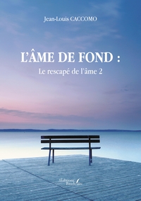 Image de L'âme de fond : Le rescapé de l'âme 2